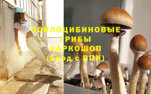 ECSTASY Аркадак