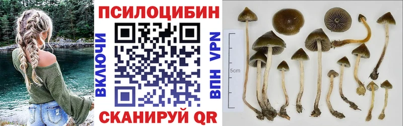 как найти   Артёмовск  Галлюциногенные грибы GOLDEN TEACHER 
